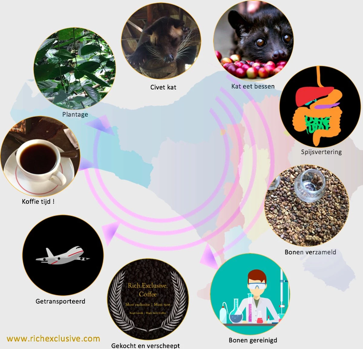 Kopi Luwak Koffie. 35 Gram Ongemalen Bonen. Direct Trade. Single Origin. The Original By Rich.Exclusive. - Afbeelding 12